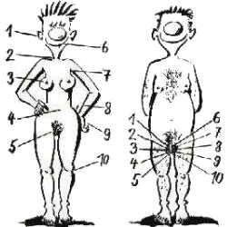 Photo: Medicina: Medicina: Zone Erogene