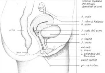 foto Medicina Ginecologia Imene