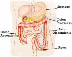 Photo: Medicina: Proctologia Colon