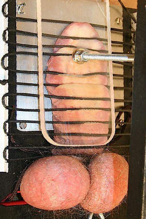 Photo: Pratiche Sessuali BDSM Extreme Cock Torture