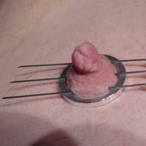 Photo: CBT - Torture Play Piercing Anatomia Capezzoli
