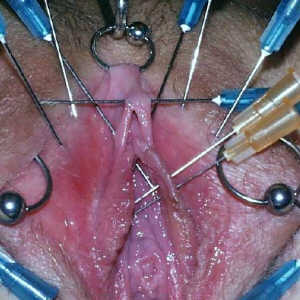 Photo: CBT - Torture Play Piercing Anatomia Vagina